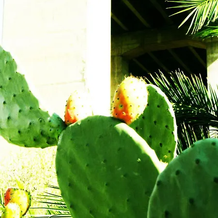 Appartamento Delle Palme